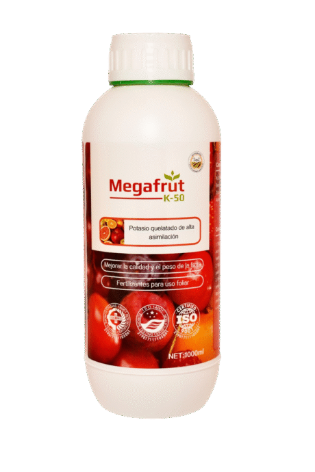 MEGAFRUT